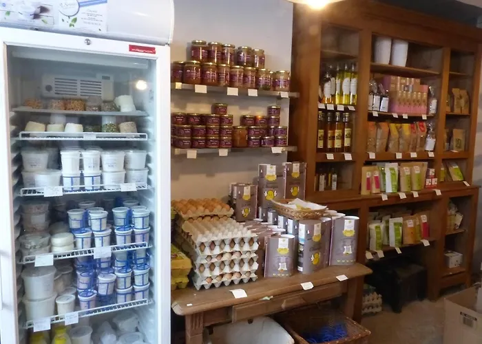 Nature En Champagne Entre Reims Et Epernay Feriehus Germaine